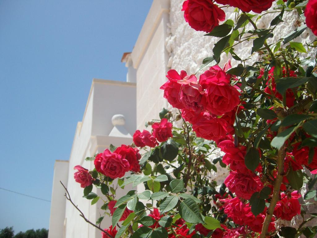 Гостевой дом Masseria Nuova San Marzano di San Giuseppe Экстерьер фото