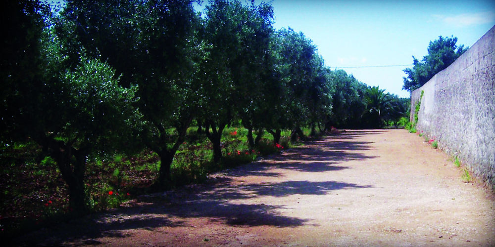 Гостевой дом Masseria Nuova San Marzano di San Giuseppe Экстерьер фото